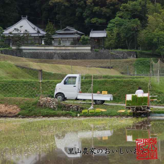 新米 お米 5kg 送料無料 玄米 清流きぬひかり芥田川 令和4年産 生産農家直送 5キロ 贈答 お米ギフト 贈り物の通販はau PAY マーケット  - 里山農家のおいしいお米