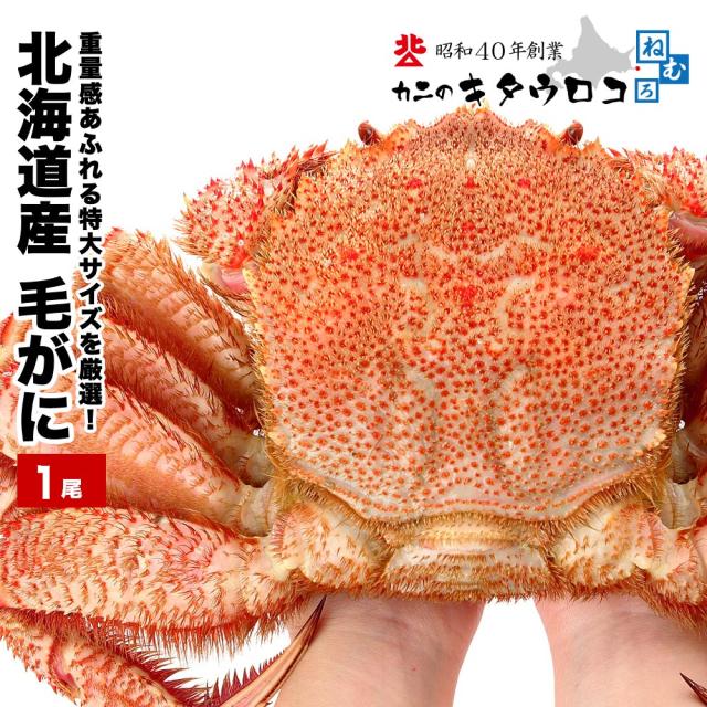 北海道産 毛ガニ 1尾 800g 大サイズ 送料無料 毛蟹 ギフト かに カニ 蟹