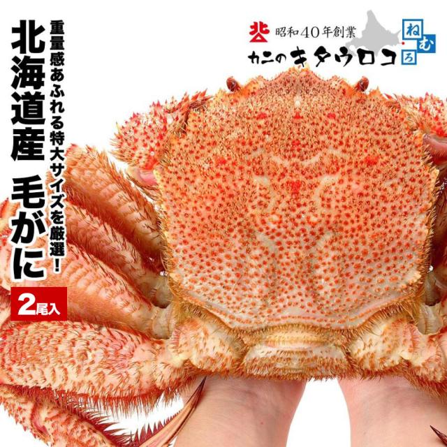 北海道産 毛ガニ 1尾当り 570g前後 2尾入 送料無料 毛蟹 ギフト かにカニ 蟹