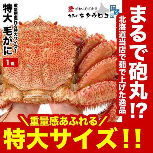 年末指定OK】かに カニ 蟹 毛ガニ 特大 1尾 1kg から 1.1kg前後 北海道産 ロシア産 お取り寄せ 毛ガニ 毛蟹 送料無料の通販はau  PAY マーケット - カニのキタウロコ