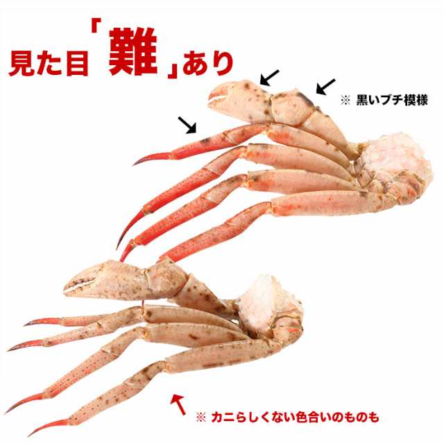 かに 父の日 カニ 蟹 訳あり ずわいがに まるずわいがに 脚 1kg 3肩前後入 ズワイガニ ずわい蟹 足 1 2人前 取り寄せ ギフト 送料無料の通販はau Pay マーケット カニのキタウロコ