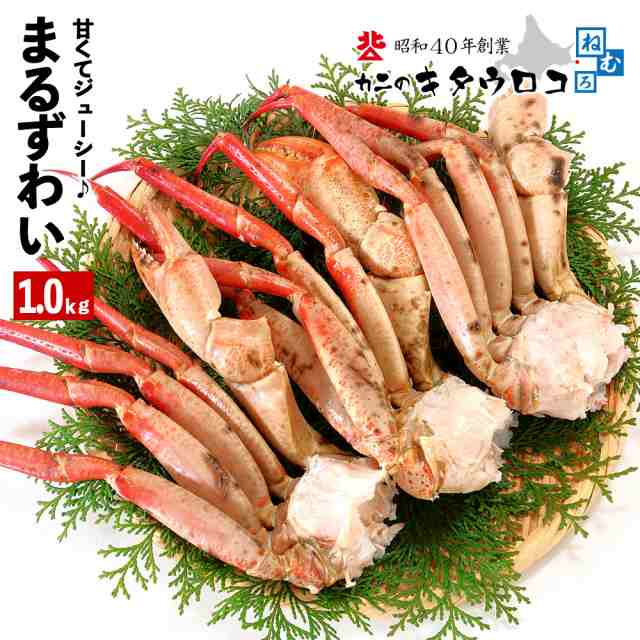 かに 父の日 カニ 蟹 訳あり ずわいがに まるずわいがに 脚 1kg 3肩前後入 ズワイガニ ずわい蟹 足 1 2人前 取り寄せ ギフト 送料無料の通販はau Pay マーケット カニのキタウロコ