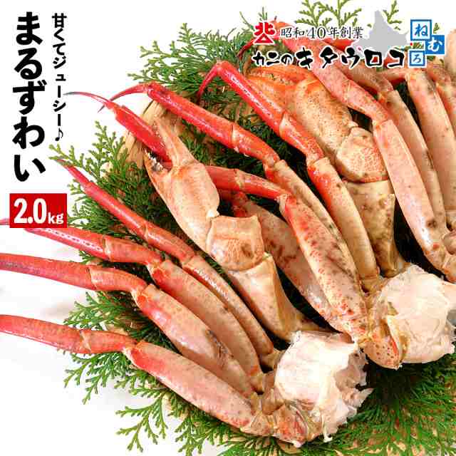 かに カニ 蟹 ボイル まるずわいがに 脚 2kg 5 7肩入 ズワイガニ ずわい蟹 足 3 4人前 脚だけ 鍋 送料無料 厳選 取り寄せ ギフトの通販はau Pay マーケット カニのキタウロコ