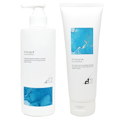 ● セット販売 ストリ エクスチェンジ プラス H2 シャンプー 300ml + ヘアマスク 250ml 頭皮 泡 サロン専売品 美容室専売 トリートメント 集中ケア 水素 艶 髪 保湿 STRI