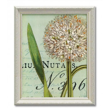 アートフレーム ワイルド アップル スタジオ「ボタニーク ブルー2」 WA-06006 6,184円