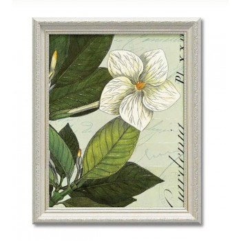 アートフレーム ワイルド アップル スタジオ「ボタニーク ブルー3」 WA-06007 5,071円