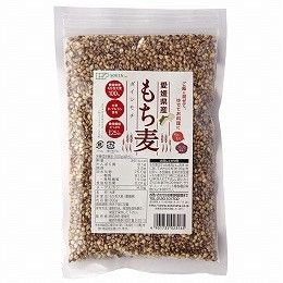 愛媛県産もち麦 単品 - 麦