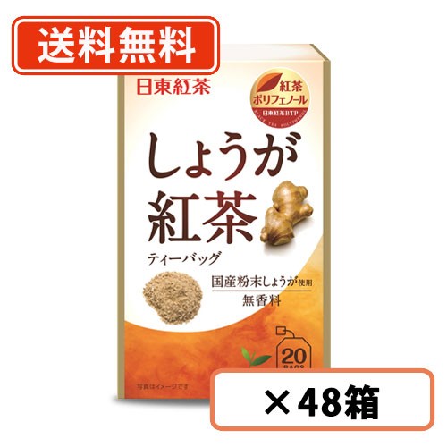 日東紅茶 しょうが紅茶  20袋入り×48箱 送料無料(一部地域を除く)の通販は