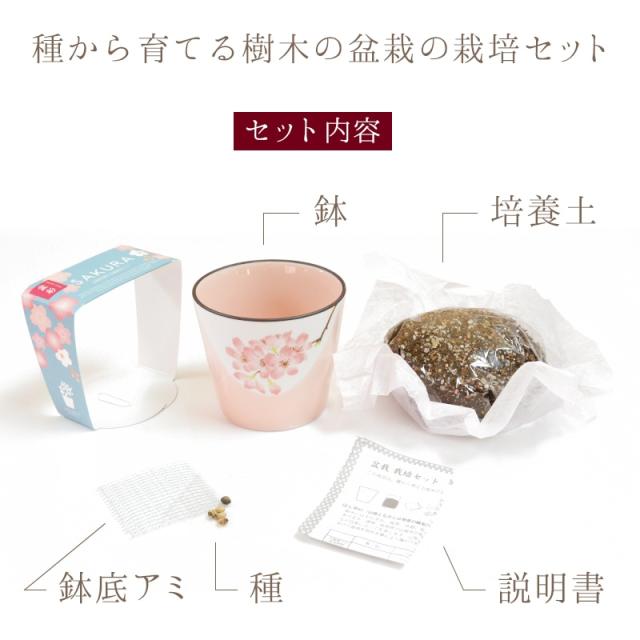 父の日特典付き 名入れ 盆栽 栽培セット プレゼント 桜 紅葉 父の日 父 母 誕生日プレゼント 祖父 祖母 名前入り 敬老の日 ギフト 還の通販はau Pay マーケット ギフトギャラリー伊万里