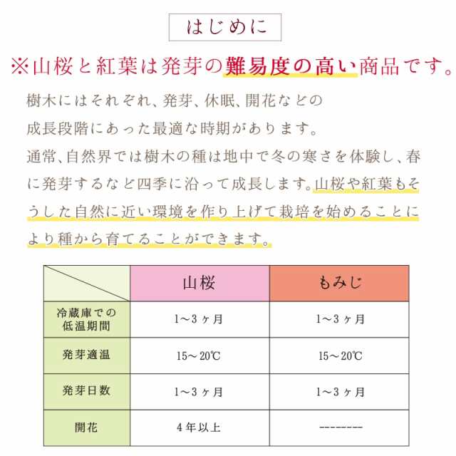 父の日特典付き 名入れ 盆栽 栽培セット プレゼント 桜 紅葉 父の日 父 母 誕生日プレゼント 祖父 祖母 名前入り 敬老の日 ギフト 還の通販はau Pay マーケット ギフトギャラリー伊万里