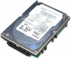 Seagate Cheetah10K.7 3.5インチ内蔵型HDD 146GB/U-320-SCSI/80pin ...