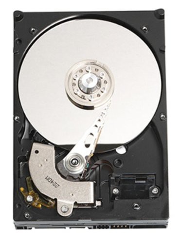 WesternDigital Caviar 3.5インチ内蔵型HDD 250GB/S-ATA WD2500JS(未使用品)