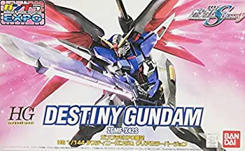 HG 1/144 デスティニーガンダム クリアカラーバージョン（ガンプラEXPO2006）プラモデル(中古品)