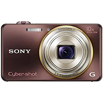 【中古】 ソニー SONY Cyber-shot WX100 (1820万 光学x10) ブラウン