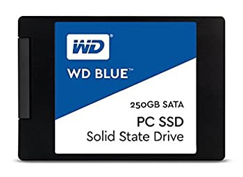 (中古品)WD SSD 内蔵SSD 2.5インチ 250GB WD Blue WDS250G1B0A/SATA3.0/3年保証の通販は