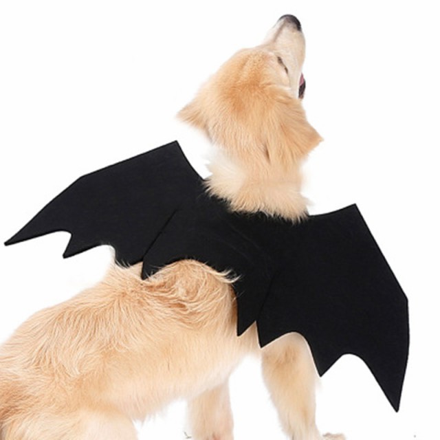 Cw1102h 超萌え 犬服 コウモリの羽 中 大型犬 ペットウェア ペット変身 ペット用品 ハロウィーン 人気の通販はau Pay マーケット Four Ring Eye