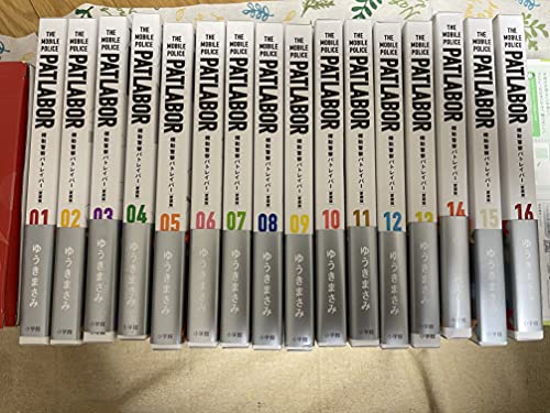 大日本古記録 實躬卿記 10/三条實躬/東京大學史料編纂所