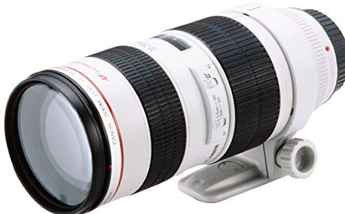 Canon 望遠ズームレンズ EF70-200mm F2.8L USM フルサイズ対応(中古品)