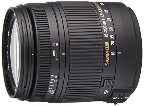 SIGMA 高倍率ズームレンズ 18-250mm F3.5-6.3 DC MACRO OS HSM シグマ用 AP(中古品)