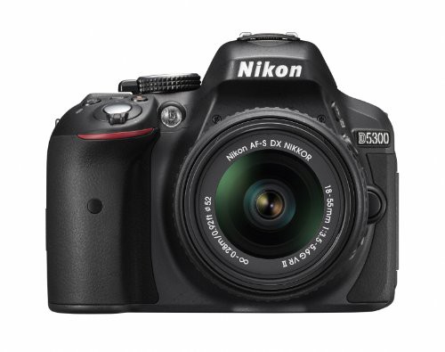 Nikon デジタル一眼レフカメラ D5300 18-55mm VR II レンズキット ブラック(中古品)