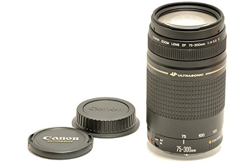 Canon キヤノン ズームレンズ EF 75-300mm F4-5.6 ?U USM(中古品)