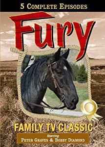 Fury 1 & 2 [DVD](中古品)