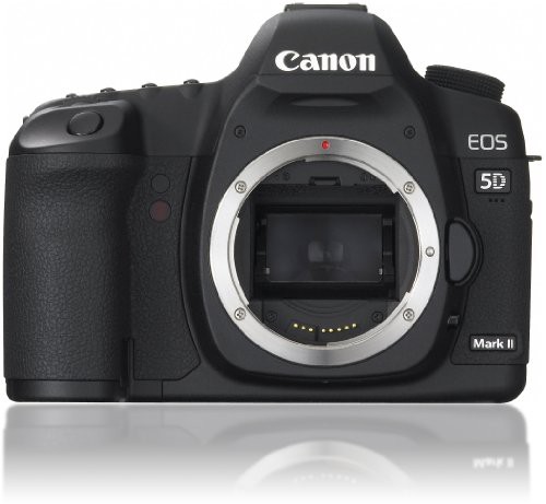 Canon デジタル一眼レフカメラ EOS 5D MarkII ボディ(中古品)