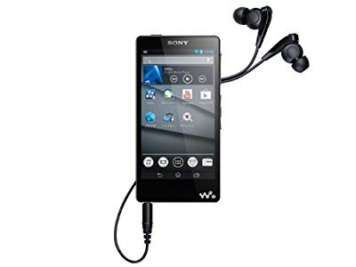 SONY ウォークマン Fシリーズ 64GB ブラック NW-F887/B(中古品)の通販は