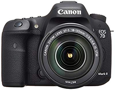 Canon デジタル一眼レフカメラ EOS 7D Mark II EF-S18-135 IS STM レンズキ(中古品)