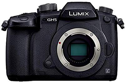 パナソニック ミラーレス一眼カメラ ルミックス GH5 ボディ ブラック DC-GH(中古品)