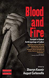 Blood and Fire: Toward a Global Anthropology of Labor (Dislocations%ｶﾝﾏ% 13)(中古品)