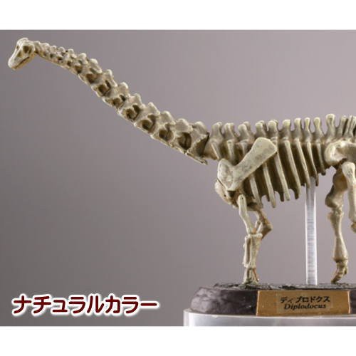 カプセルqミュージアム 恐竜発掘記6 恐竜全身骨格展示室 5 ディプロドク 中古品 の通販はau Pay マーケット Cocohouse