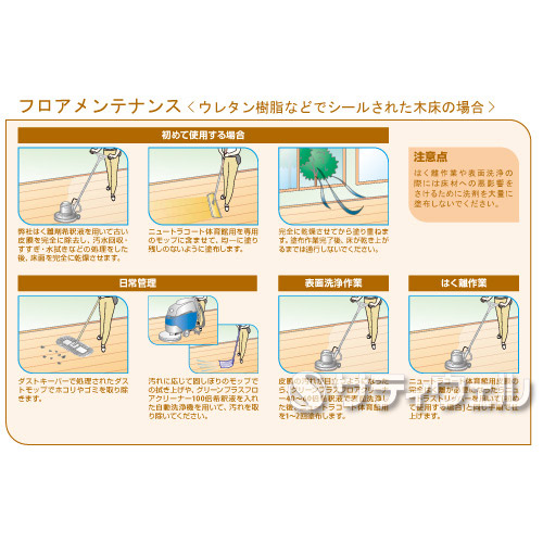 【送料無料】シーバイエスニュートラコート　体育館用　18L　5箱セット_4