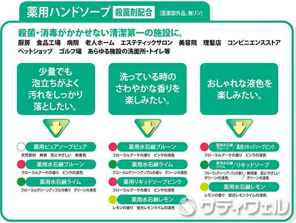 ミッケル化学(ユーホーニイタカ) 薬用水石鹸ライム 5L 2本セット