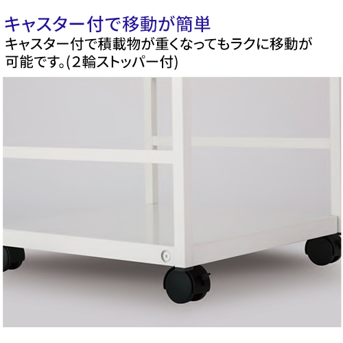【送料無料】【受注生産品】【法人専用】【全色対応 U1】テラモト ラダーキャビネットFT_4