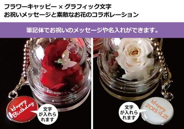 母の日 プリザーブドフラワー ギフト 花 誕生日 プレゼント プリザーブドフラワー ドーム キーホルダー ストラップ バラ 薔薇の通販はau Pay マーケット 記念品 ギフト 23d Factory