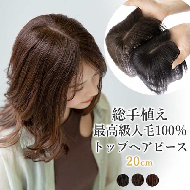 ウィッグクリップ 10個 ヘアクリップ エクステ かつら ヘアピース ピン