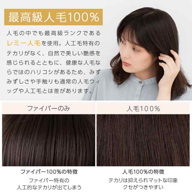 トップカバー 20cm 部分手植え レミー 人毛100% 部分ウィッグ