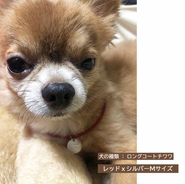 犬 首輪 おしゃれ 中型犬 小型犬 本革 かわいい 犬首輪 犬の首輪 猫用首輪 ペット ネックレス 手作り オーダーメイド 送料無料の通販はau  PAY マーケット - VICTORIA ROI