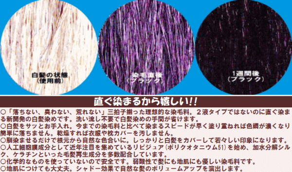 即納最大半額 落ちない におわない 荒れない 新開発白髪染め トミーリッチ ワンタッチヘアカラー３色セット ヘアカラー 白髪 白髪染め 無料長期保証 Www Iacymperu Org