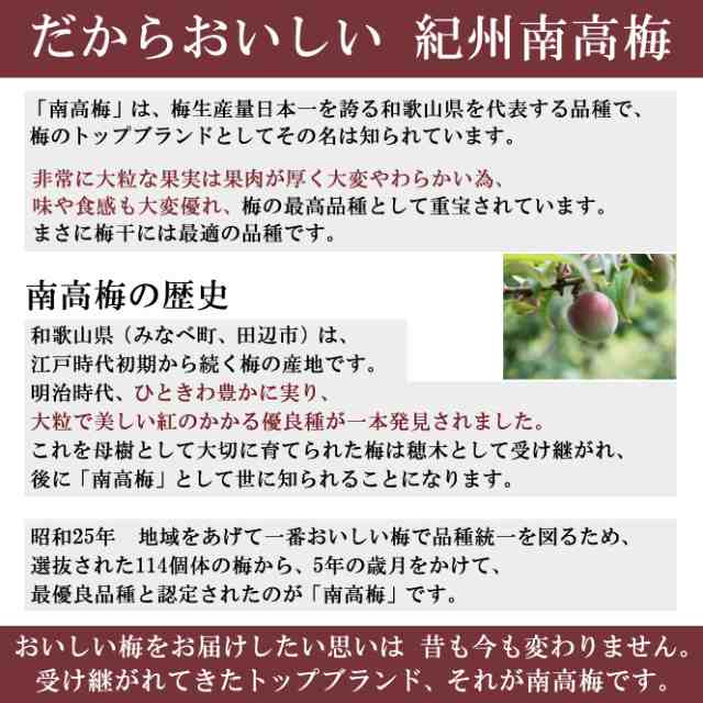 奈良県南部産　無農薬梅