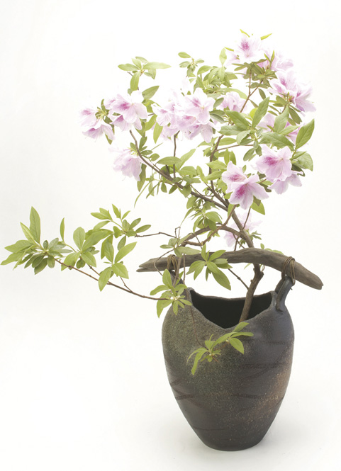 信楽焼 凛 花器 花入 花瓶 陶器 花入れ 彩り屋