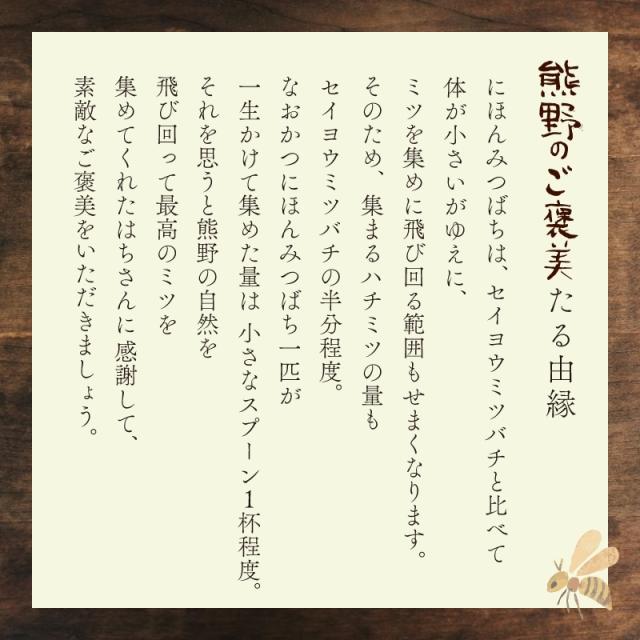 天然はちみつ 奥熊野山蜜 600g 日本ミツバチ天然蜂蜜（ハチミツ）国産