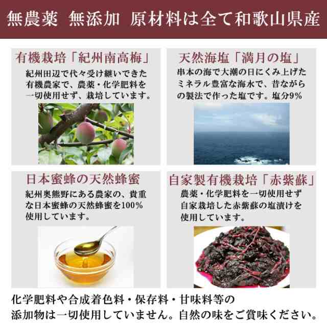 奈良県南部産　無農薬梅