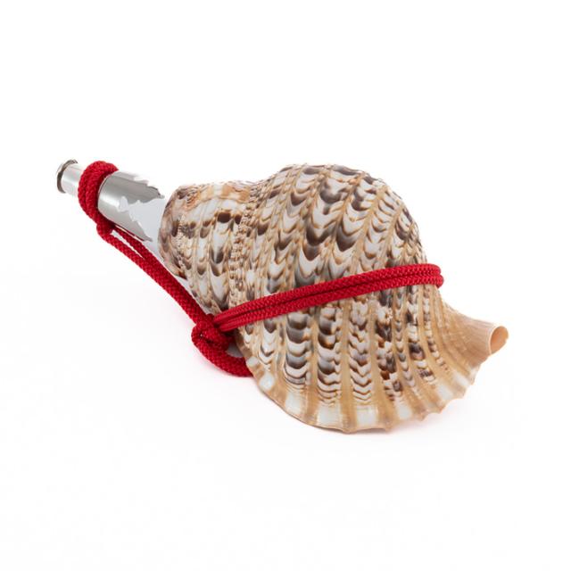 法螺貝 34cmホラ貝 ほら貝 ほらがい 螺貝 ホラガイ 法螺貝 法螺貝 34cmホラ貝 ほら貝 ほらがい 螺貝 ホラガイ ホラ貝