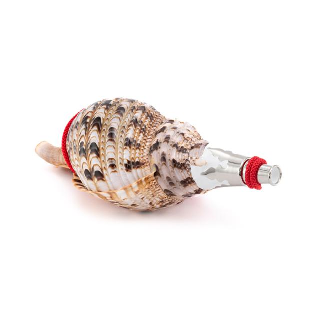 No.46 法螺貝（ほら貝） 15インチ