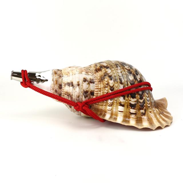 No.9 法螺貝（ほら貝） 大型