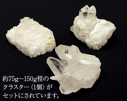 乾燥セージ【75gほど】 乾燥セージ【75gほど】