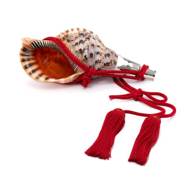 古代桃色法螺貝（ピンク貝）法螺貝 ほら貝 ホラガイ 大型肉厚古代桃色