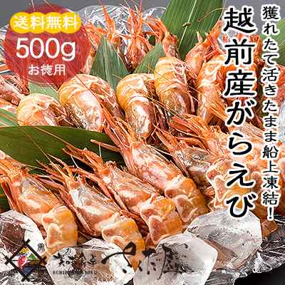 越前産 がらえび 500g 生食用 冷凍便 の通販はau Pay マーケット 美味食卓さくだ屋